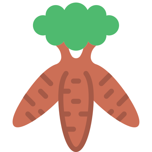 Cassava