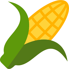 Corn