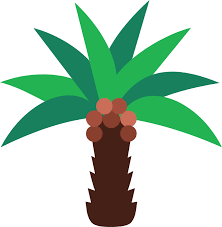 Palm